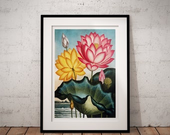 Water Lily Antique Wall Decor Floral Vintage Flower Watercolor Painting Fine Art Framed