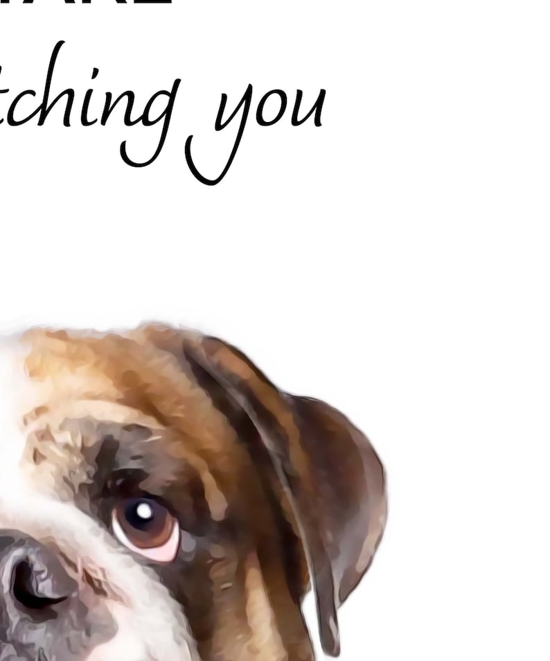 May include: A brown and white bulldog with a curious expression, looking up and to the right. The text "I'm watching you" is above the dog.