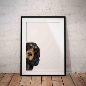 May include: A black and brown dog with floppy ears peeks out from behind a white frame. The dog's head is tilted to the side, and its eyes are looking directly at the viewer.