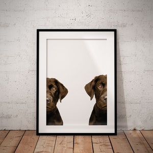 2 Chocolate Labradors Giclée Art Print With White Background, Optional Personalisation