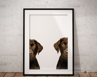 2 Chocolate Labradors Giclée Art Print With White Background, Optional Personalisation