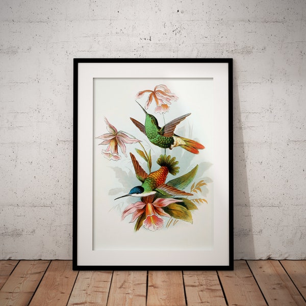 Hummingbird Wall Art Etsy