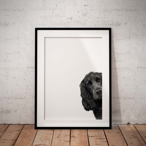 Impresión giclée de un cocker spaniel negro asomándose, arte mural canino (SIN MARCO)