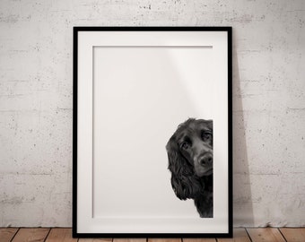 Peeking Black Cocker Spaniel Giclée Print, Dog Wall Art (UNFRAMED)