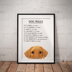 May include: A framed print with a white background and black text that reads "DOG RULES". The text lists a set of rules for dogs, such as "If it's edible - it's mine!" and "If I want it back - it's mine!" A brown dog's head is peeking out from the bottom of the frame.