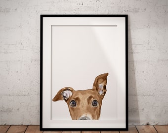 Cute, Peeking Brown Greyhound, Whippet Giclée Art Print With White Background,  With Custom Name/Wording