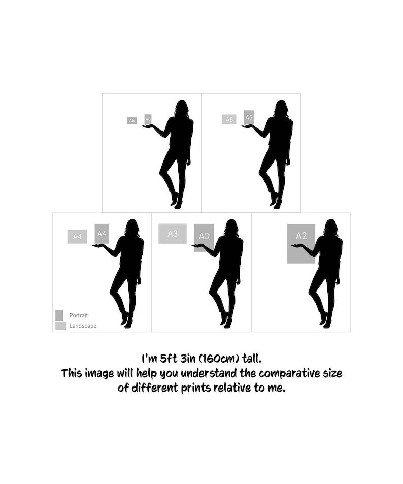 May include: A person standing next to different sizes of paper, including A2, A3, A4, and A5. The person is 5 feet 3 inches tall, which is 160 centimeters. The image shows the relative size of the paper.