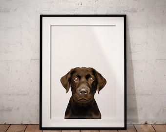 Chocolate Labrador Giclée Art Print With White Background, Optional Personalisation