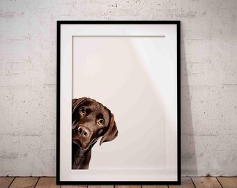 Funny, Cute Peeking Chocolate Brown Labrador Giclée Art Print With White Background, Optional Personalisation, UNFRAMED