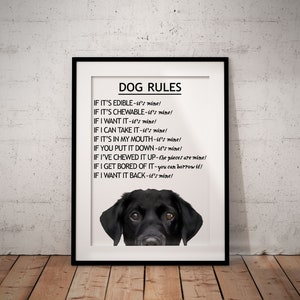 Dog Rules Black Labrador Giclée Art Print With White Background, Cute, Fun Labrador Art