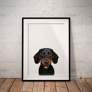 Black And Tan Sausage Dog Giclée Art Print, Dachshund Print, Personalised Pet Print, Unframed