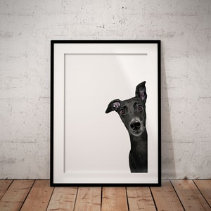 Cute, Peeking Black Greyhound, Whippet Giclée Art Print With White Background,  With Custom Name/Wording, UNFRAMED