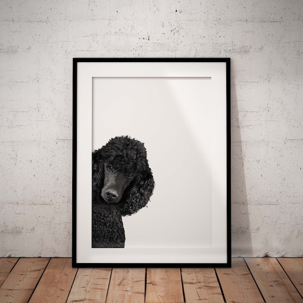 Impression giclée d'art mignon caniche noir furtivement sur fond blanc avec personnalisation facultative, sans cadre