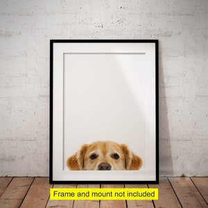 Golden Retriever Print, Goldie Print, Dog Lover Gift, Pet Print, Personalised Pet, Personalisation Optional, UNFRAMED