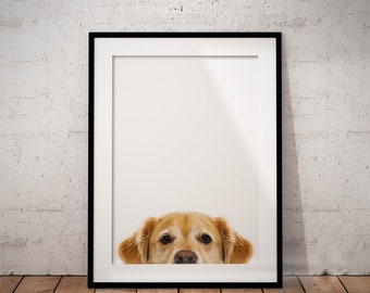 Golden Retriever in Quarantine Art Print 5 x 7 Dog Collectible by Artist KSams Golden Retriever in Quarantine Art Print 5 x 7 Dog Collectible by Artist KSams