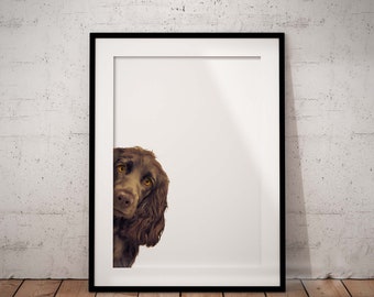 Cute Peeking Chocolate Cocker Spaniel Giclée Art Print With White Background And Optional Personalisation, UNFRAMED