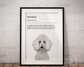Cute White Poodle Definition Giclée Art Print, Fun Poodle Print, Dog Lover Gift, Pet Print, Poodle Home Decor, Peeking Or Middle, Unframed