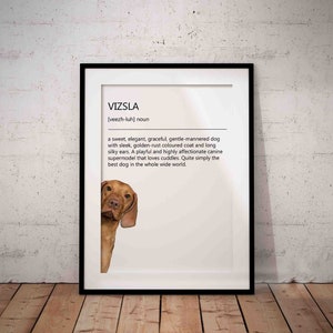 Cute, Vizsla, Funny Dog Breed Definition, Hungarian Vizsla Giclée Art Print With White Background, Unframed