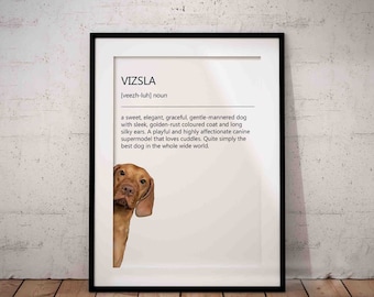 Cute, Vizsla, Funny Dog Breed Definition, Hungarian Vizsla Giclée Art Print With White Background, Unframed