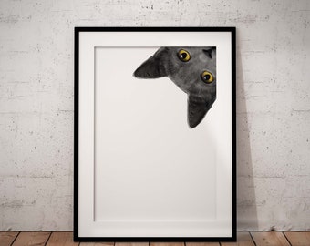 Peeking Grey Cat Giclée Art Print With Optional Personalisation, 4 Different Layouts Available - UNFRAMED