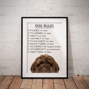 May include: A framed print with a brown dog's head peeking out from the bottom. The print features a list of "Dog Rules" in black text on a white background. The rules are: "If it's edible - it's mine! If it's chewable - it's mine! If I want it - it's mine! If I can take it - it's mine! If it's in my mouth - it's mine! If you put it down - it's mine! If I've chewed it up - the pieces are mine! If I get bored of it - you can borrow it! If I want it back - it's mine!"