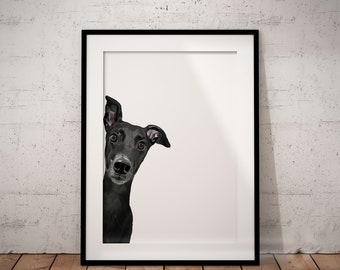 Adorable galgo negro asomándose, lámina artística Giclée con fondo blanco, con nombre/texto personalizado, SIN MARCO