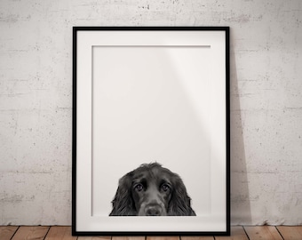 Cute Peeking Black Cocker Spaniel Giclée Art Print With White Background, UNFRAMED