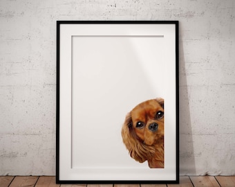 Cavalier King Charles Spaniel Art Print, Peeking Dog UNFRAMED Giclée