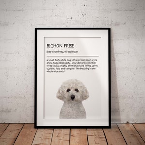 Cute, Fun Bichon Frise Definition Giclée Art Print With White Background, 3 Styles Available UNFRAMED