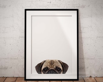 Cute, Peeking Pug Giclée Art Print With White Background and Optional Personalisation, Unframed