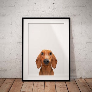 Cute, Tan Red Sausage Dog Giclee Art Print With White Background, Brown Dachshund Print With Optional Personalisation, Unframed