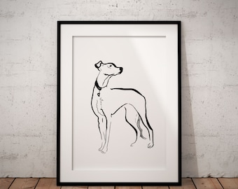 Whippet Line Art Print, Greyhound Portrait, Unframed