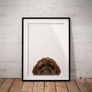 May include: A framed print of a brown dog peeking out from behind a white frame. The dog's eyes are visible, and its fur is fluffy.