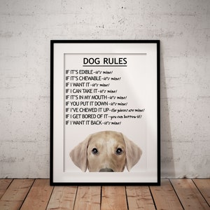 Dog Rules White Labrador Giclée Art Print With White Background, Cute, Fun Labrador Art