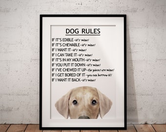 May include: A framed print with a light brown dog's head at the bottom. The print features the text "DOG RULES" and a list of rules for dogs, such as "If it's edible - it's mine!" and "If I want it back - it's mine!"