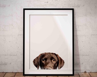 Peeking Chocolate Brown Labrador Giclée Art Print UNFRAMED