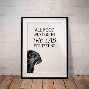 Black Labrador Giclée Print – Funny Peeking Lab Art, UNFRAMED