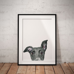 Cute, Peeking Grey Greyhound, Whippet Giclée Art Print With White Background, With Custom Name/Wording, UNFRAMED