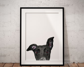 Cute, Peeking Black Greyhound, Whippet Giclée Art Print With White Background,  With Custom Name/Wording