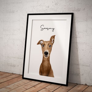 Cute, Red Fawn, Brown Greyhound, Whippet Giclée Art Print With White Background, With Custom Name/Wording image 2