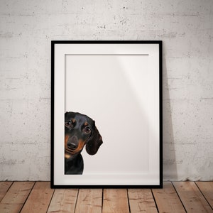Peeking Dachshund Giclée Art Print, Black and Tan Sausage Dog, Unframed