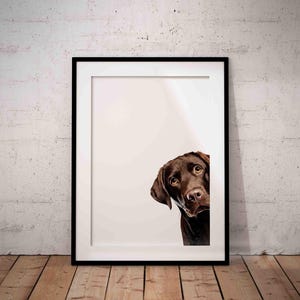 Chocolate Brown Labrador Wall Art – Peeking Dog Giclée Print – Funny Lab Illustration – Dog Lover Gift – UNFRAMED Pet Portrait – A6-A2 Sizes