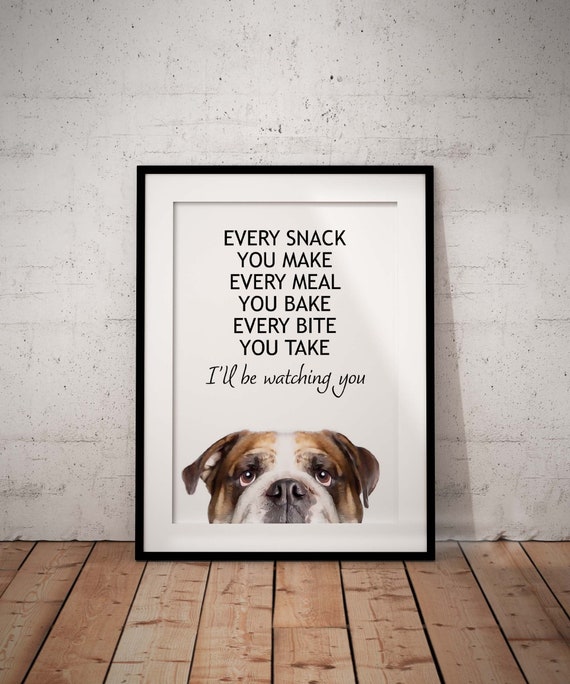Cute, Hungry Fun Peeking British Bulldog, English Bulldog Giclée Art Print With White Background, I'll Be Watching You, UNFRAMED