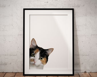 Fun Peeking Calico Cat With White Background Giclée Art Print