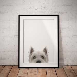 West Highland Terrier Giclée Art Print On A White Background With Optional Personalisation, Unframed