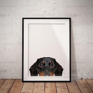 Peeking Black And Tan Sausage Dog Giclée Art Print, Dachshund Print, Personalised Pet Print, Unframed