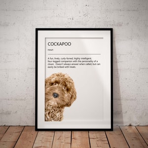 Cockapoo Definition Art Print, Cute, Fun Peeking Golden Tan Cockapoo Giclée Art Print With White Background, Unframed