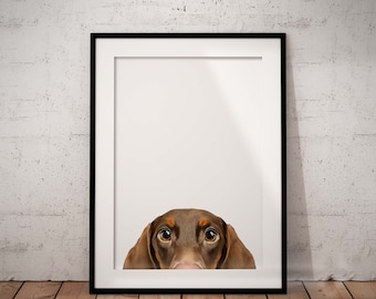Cute Peeking Chocolate and Tan Dachshund Giclée Art Print With White Background And Optional Personalisation, Unframed