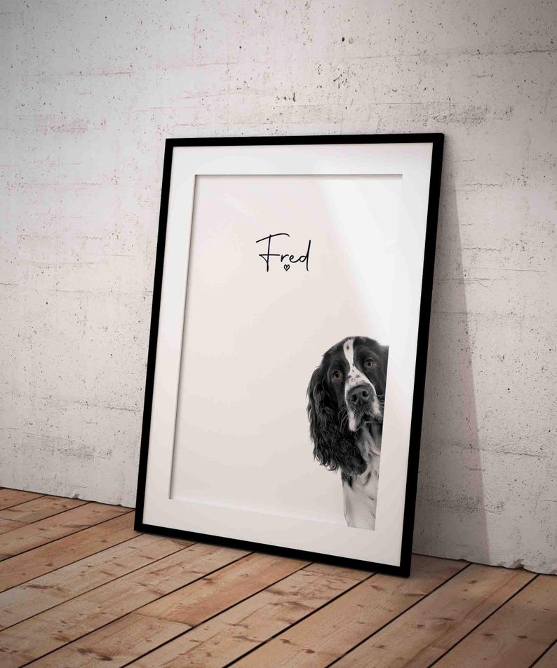 Peeking Black and White Springer Spaniel Dog UNFRAMED Giclée Art Print ...