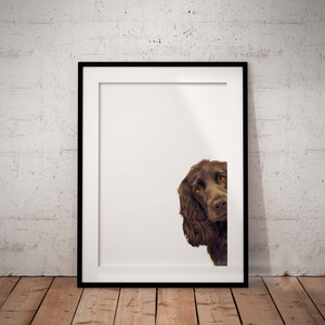 Cute Peeking Chocolate Cocker Spaniel Giclée Art Print With White Background, Optional Personalisation, UNFRAMED